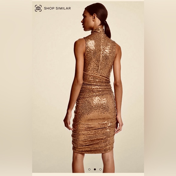 Collection Runway hand embroidered holiday dress - Picture 6 of 8